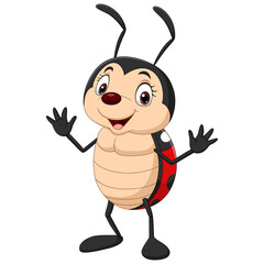 Cartoon happy ladybug on white background