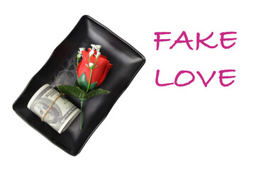 White background written with text FAKE LOVE.