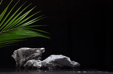Stone podium with green palm leaf and water as summer shore at night for showing packaging and product on dark black background.