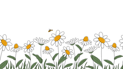 Seamless border of daisies hand drawn in simplified children cartoon naive style on white background.Cute bee sitting on flower.For design of website or shop for spring or summer.Vector illustration