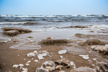 Winter Baltic Sea beach is snowy and there are big waves in the sea