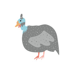 Isolated image of a guinea fowl on a white background. Stylized bird, cute childish illustration. Hand-drawn style. Vector illustration.