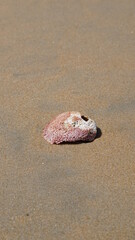 a stone at the Phra Thong Bay on Ko Phra Thong Island, Southern Thailand, February