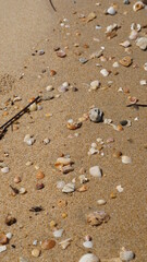 sand and stones at the Phra Thong Bay on Ko Phra Thong Island, Southern Thailand, February