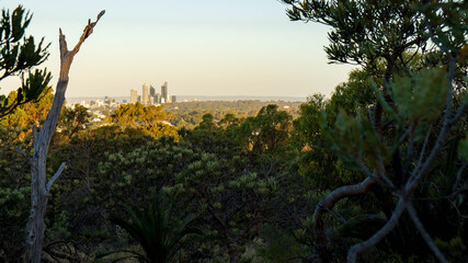 Obraz na płótnie Canvas Perth city from hill