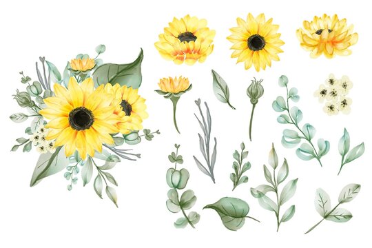 set of isolated watercolor yellow sun flower leaves