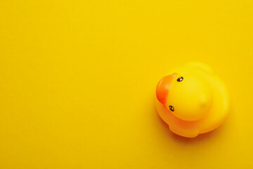 Rubber duck on yellow background, space for text