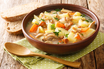 Vegetarian soup with wild mushrooms, potatoes, carrots and onions close-up in a bowl on the table. horizontal