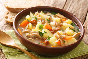 Potatoes Soup with Wild Forrest Mushrooms served with bread closeup in the plate on the table. Horizontal
