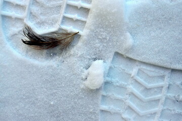 footprint in the snow from shoes, bird feather