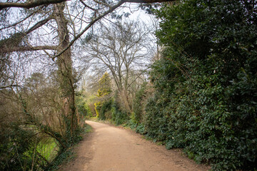 Fototapeta na wymiar path in the park, Jersey, Channel Islands, old railway track