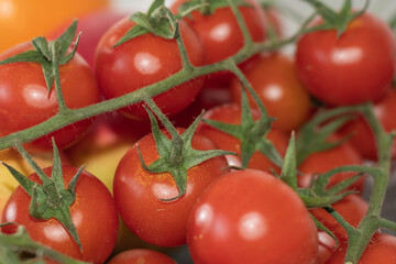 Tomaten Nahaufnahme