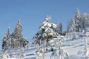 Winterwonderland auf dem Grünberg (Gmunden, Salzkammergut, Oberösterreich, Österreich) - Winter...