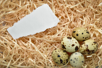 five quail eggs and a piece of white paper with torn edges laid out on wooden sawdust