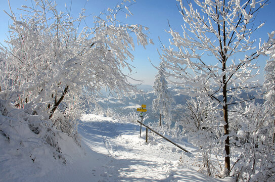 Winterwonderland auf dem Grünberg (Gmunden, Salzkammergut, Oberösterreich, Österreich) - Winter wonderland on the Grünberg (Gmunden, Salzkammergut, Upper Austria, Austria) -