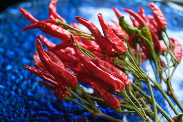 鷹の爪　日本のトウガラシ