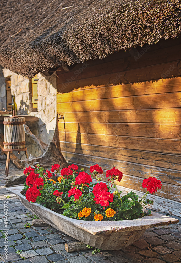 Wall mural traditional rural house at lake balaton, hungary