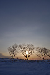 Fototapeta na wymiar 夕暮れの冬の丘。