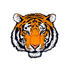 The symbol of the new 2022. Tiger head. Tiger face. Detailed drawing of a tiger.