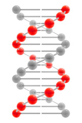 DNA