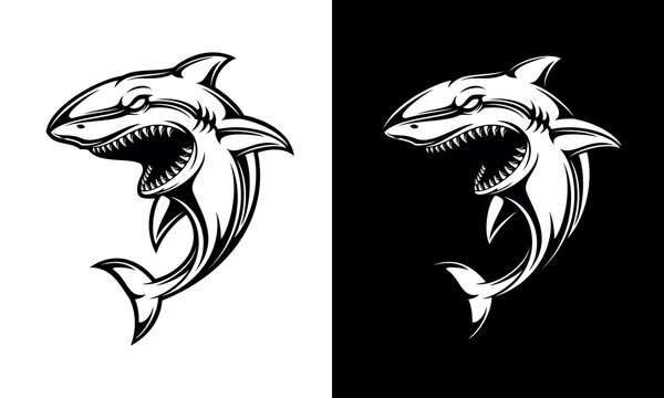 Black and white angry shark vector