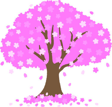 15 976 Best 桜の木 Images Stock Photos Vectors Adobe Stock 15 976 Best 桜の木 Images Stock Photos Vectors Adobe Stock