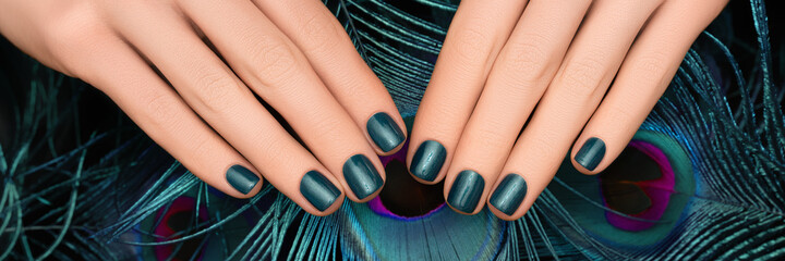 Female hands with blue nail design. Female hands with cyan peacock feathers. Blue nail polish...