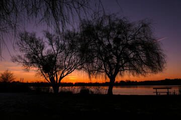 Beautiful sunset or sunrise with view on a lake. Rural scene with silhouette of weeping willow and bench in the foreground. 