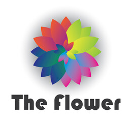 Flower colorful leaf
