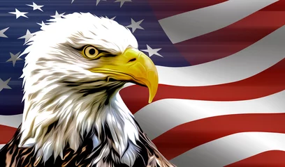 Ingelijste posters american eagle and flag © reznik_val