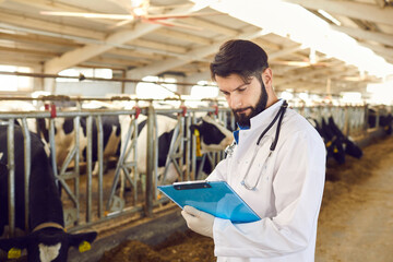 Farmer or veterinarian making notes during checking cows in stall on animal farm