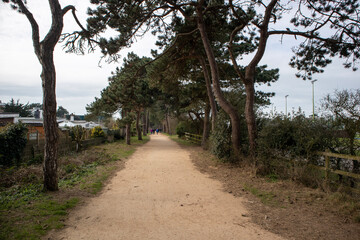 Fototapeta premium path in the park