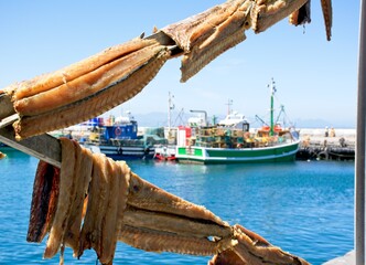 Snoek fish hanging in the sun to dry, a delicacy in South Africa, with soft focus fishing trawlers...