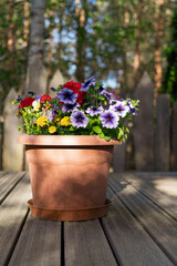 flowers in pots