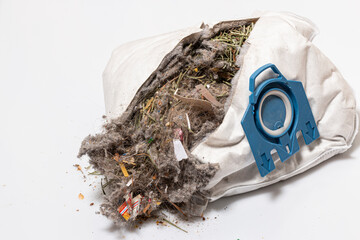 a fully filled, cut open vacuum cleaner bag with its contents
