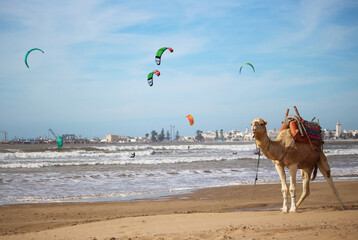 Essaouira, kitebeach Morroco