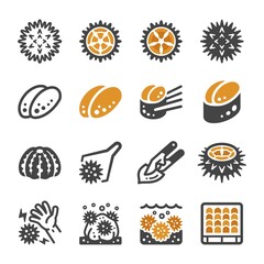 sea urchin icon set,vector and illustration