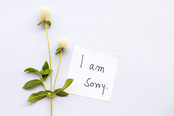 i am sorry message card handwriting with white flower globe amaranth arrangement flat lay postcard style on background white