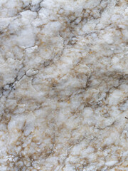 Natural stone,natural stone structure on the cut, streaked with roots of plants, texture for backgrounds,close-up.