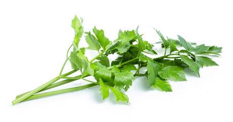 clipping path celery isolated on white background