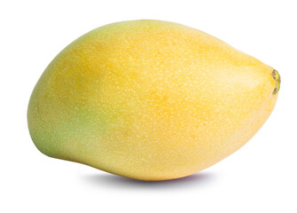 clipping path yellow mango isolated on white background
