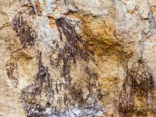Natural stone,natural stone structure on the cut, streaked with roots of plants, texture for backgrounds,close-up.