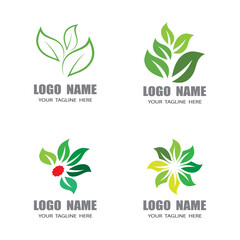 Leaf icon Vector Illustration design Logo template