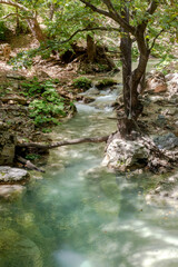 Naklejka na ściany i meble A fast mountain river flows on a sunny summer day (Central Macedonia, Greece)