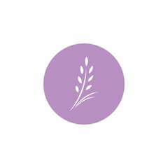 White flat icon of lavender flower in violet circle.