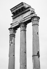Black and white photographs of historic Roman columns and architecture