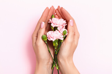 Female hands hold roses in the palms on a pink pastel background. Beauty and skin care concept.