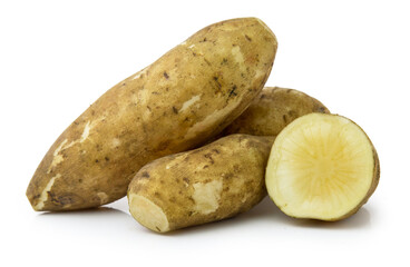 Smallanthus sonchifolius (yacon) ,snow lotus isolated on white background