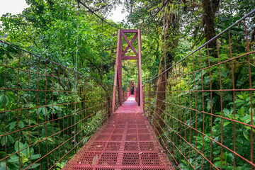 A red suspension bridges in Santa Elena Cloud Forest Reserve, in Monteverde Costa Rica. Foggy rainforest in the mountains . Central America.