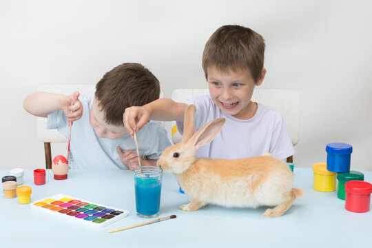 two boys sit at the table and paint Easter eggs. Getting ready for Easter. On the table, a beautiful ginger rabbit is sniffing water in a glass. The child is focused. A boy with a funny expression.